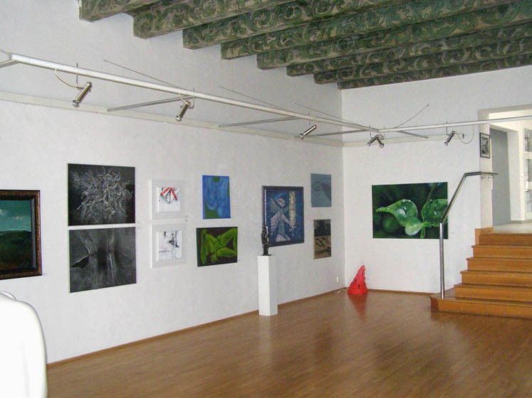 Pohled do expozice
