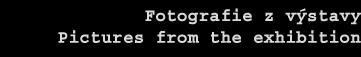 otevt strnku s fotografiemi z vstavy - open another page with the exhibition pictures